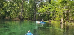[Paddlers around the bend, 11:44:24, 29.9556612, -82.7815041]