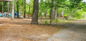 [Lunching at a pavilion, 12:02:25, 29.9537016, -82.7840162]