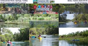 [Ichetucknee River, Springs, Turtles, Birds, Tubers 2025-04-05, North Launch past South Launch, to US 27 Bridge]