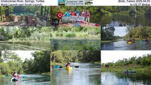 [Ichetucknee River, Springs, Turtles, Birds, Tubers 2025-04-05, North Launch past South Launch, to US 27 Bridge]