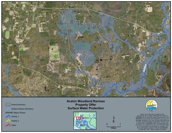 Map: Surface Water Protection, Avalon Woodland Ravines