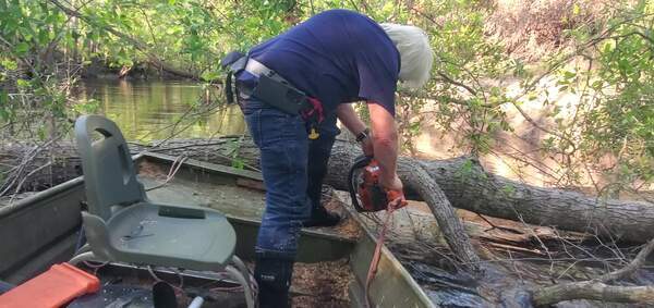 Movie: Sawing oak deadfall, 17:45:47, 30.8467789, -83.3437273
