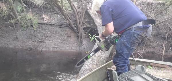 Movie: Sawing towards the base with EGO 18-inch electric saw, 18:31:11, 30.8467289, -83.3438400 (2.2M)