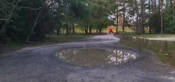 [Pothole Pond in access road, Troupville Boat Ramp, 20:11:29, 30.8518516, -83.3468933]