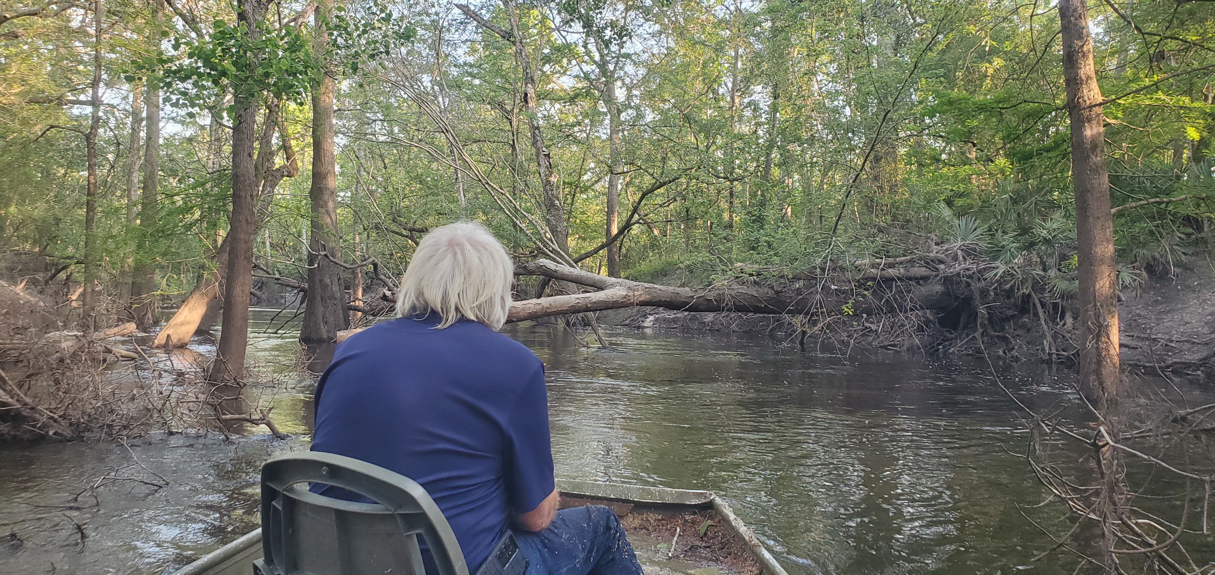 A Deadfall we sawed last time: go left (towards right bank), 18:36:54, 30.8476243, -83.3429526
