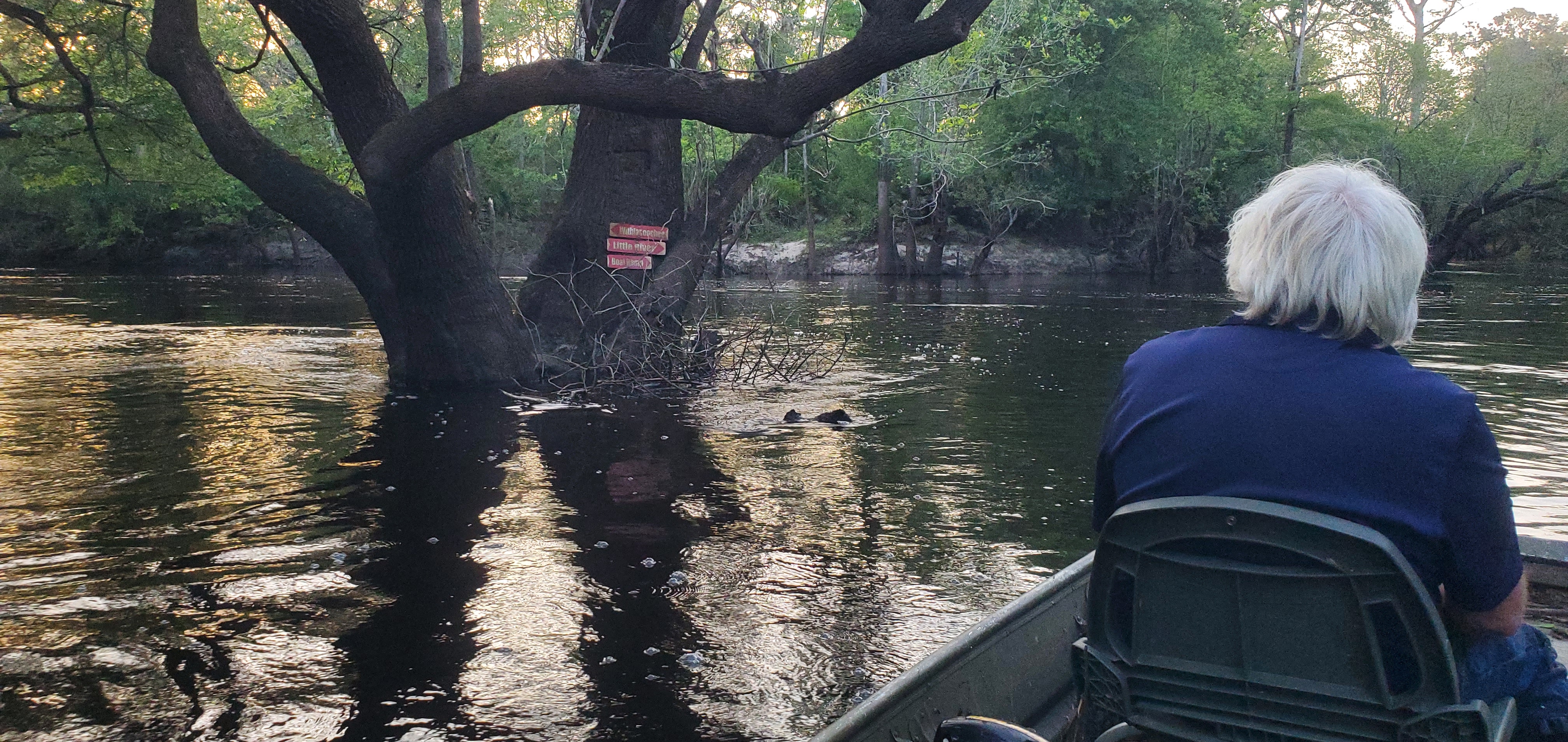Signs clear, Little River Confluence, 19:45:23, 30.8468419, -83.3476258