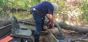 [Movie: Sawing oak deadfall, 17:45:47, 30.8467789, -83.3437273]