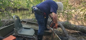 [Sawing Oak Deadfall, 17:45:54, 30.8467789, -83.3437273]