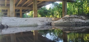 [Right Bank under GA 133 Bridge, 18:46:24, 30.8494307, -83.3405062]