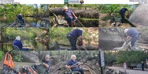 [Two new Deadfalls, Withlacoochee Upstream from Troupville Boat Ramp, April 9, 2025]
