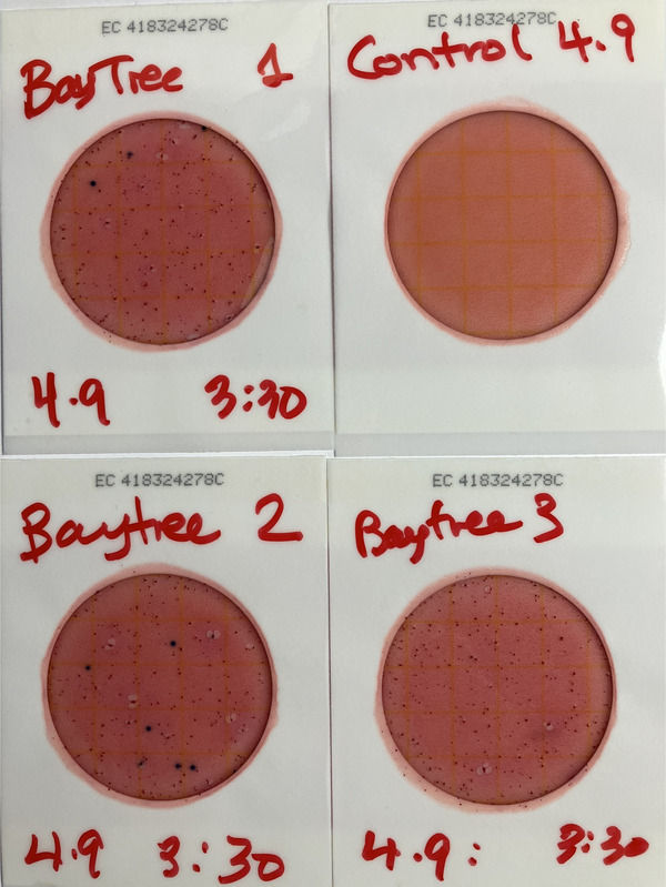 [Plates, Sugar Creek @ Baytree Road 2025-04-09]