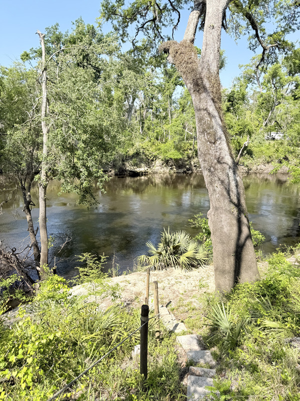[Holly Point 4 1, Withlacoochee River @ NE Withla Bluffs Way 2025-04-10]