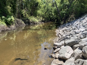[Upstream, Sugar Creek @ Gornto Road, Sugar Creek @ Gornto Road 2025-04-09]