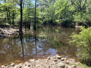 [Downstream, Troupville Boat Ramp Little River @ GA 133 2025-04-09]