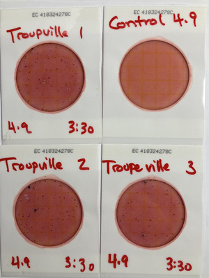 [Plates, Troupville Boat Ramp 2025-04-09]