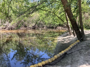 [Upstream, Sugar Creek @ WaterGoat, Sugar Creek @ WaterGoat 2025-04-09]
