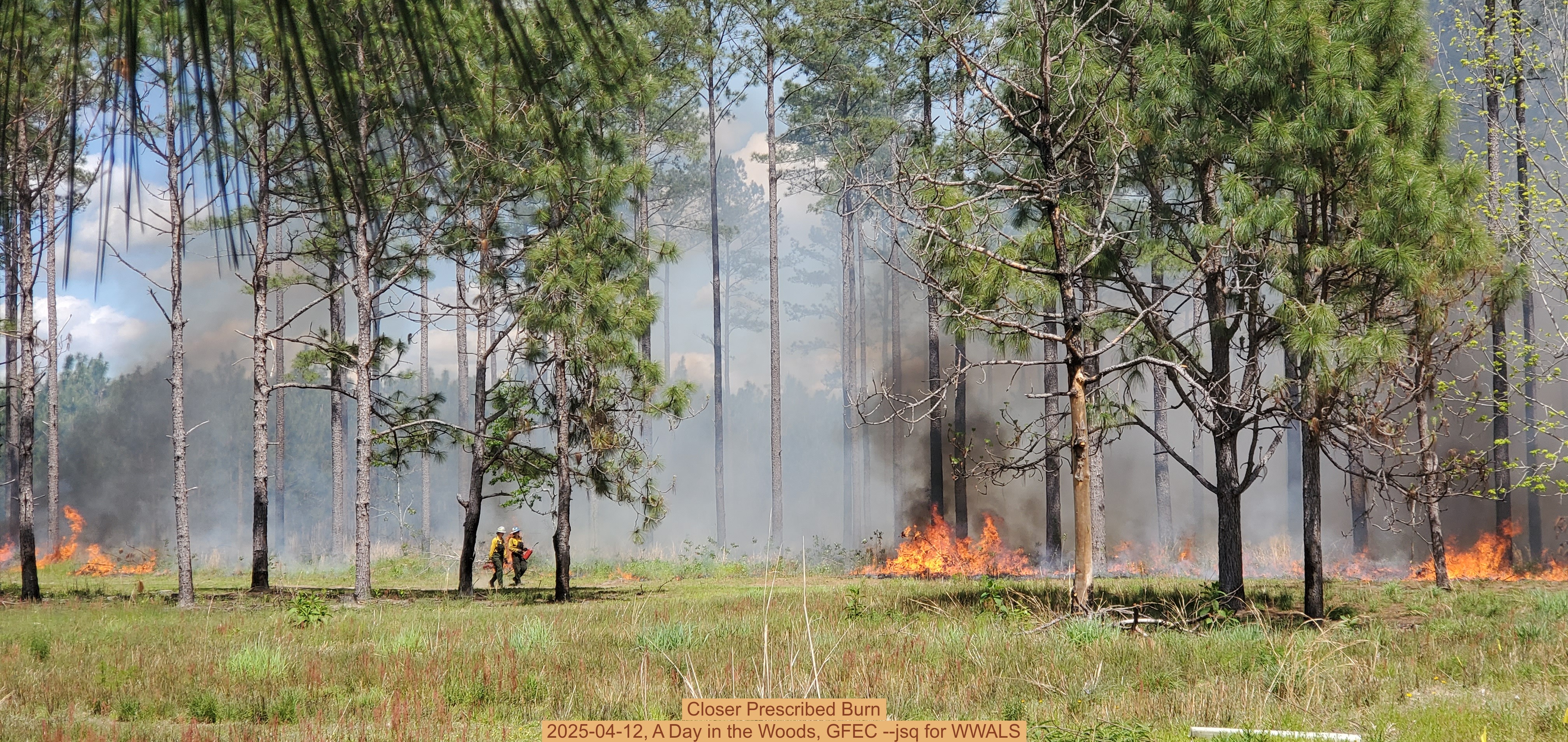 Closer Prescribed Burn, 2025-04-12, A Day in the Woods, GFEC --jsq for WWALS