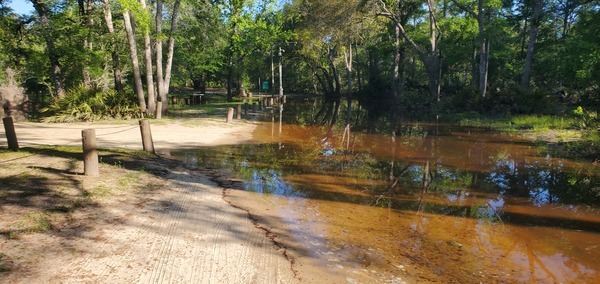 [Underwater Langdale Park Boat Ramp, 09:16:30, 30.8867933, -83.3232110]