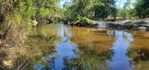 Downstream Sugar Creek, 09:55:52, 30.8622856, -83.3188072