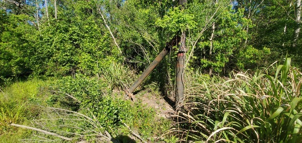 [More old sewer equipment, 10:05:50, 30.8628009, -83.3201296]