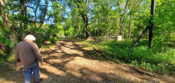 [Railroad access road with old sewer equipment, 10:08:38, 30.8624133, -83.3207037]