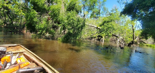 [Go around on the right bank, 12:36:40, 30.8602054, -83.3241949]