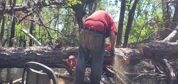 [Movie: Saw off the big log to get at the supporting limb, 13:32:58, 30.8666324, -83.3206750 (73M)]