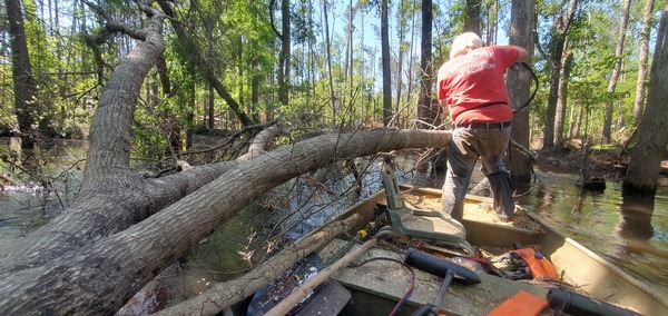 [Deadfall below RR side trestle, 16:06:55, 30.8641351, -83.3230149]
