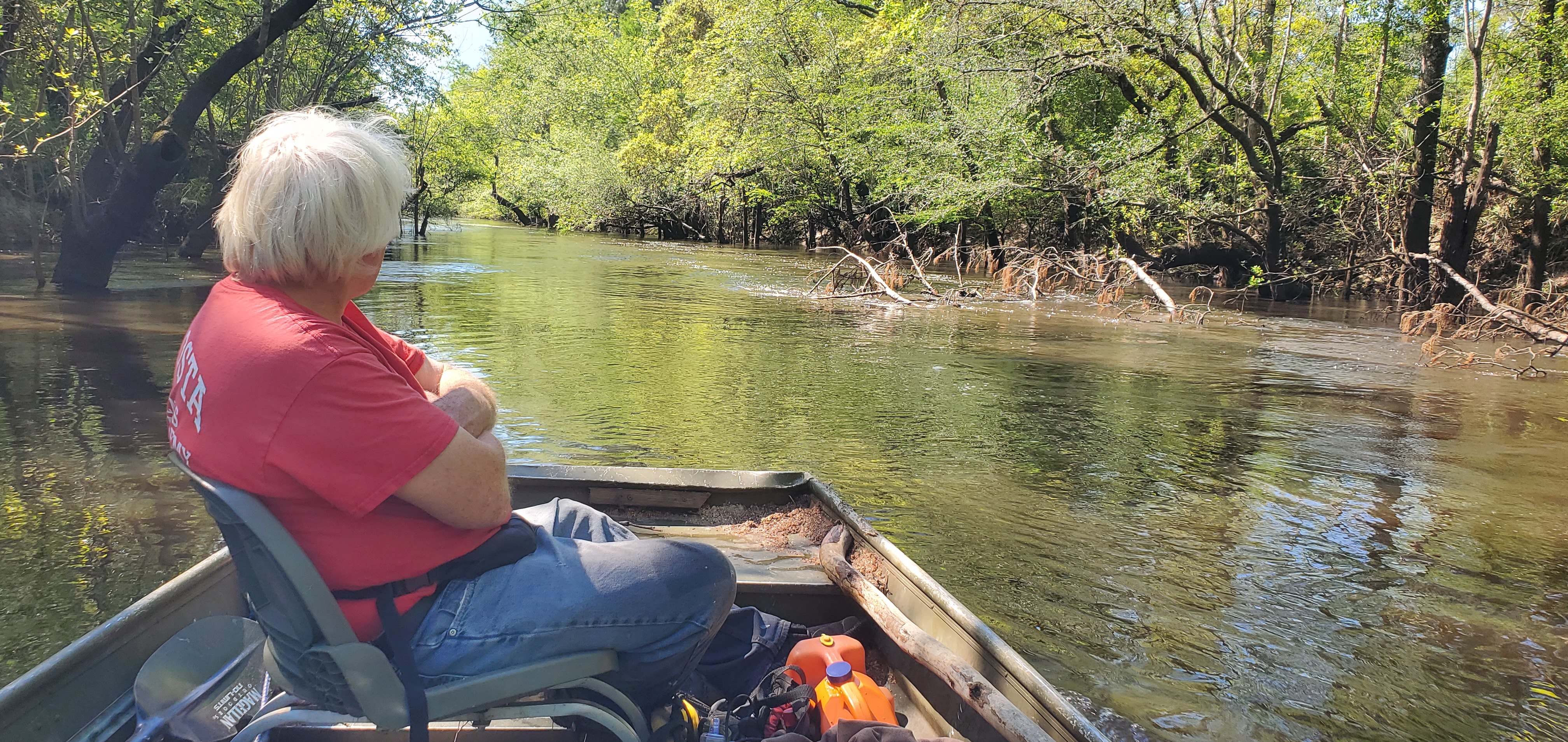 Deadfall mostly underwater, 11:09:14, 30.8497997, -83.3488770