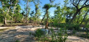 [Old Valdosta sewer system equipment, 09:58:21, 30.8629731, -83.3191151]