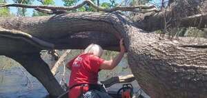 [Movie: Sawing under, 12:26:57, 30.8590764, -83.3243768 (26M)]