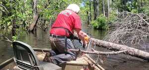 [Movie: Enough of that limb, 13:12:36, 30.8647930, -83.3214162 (15M)]