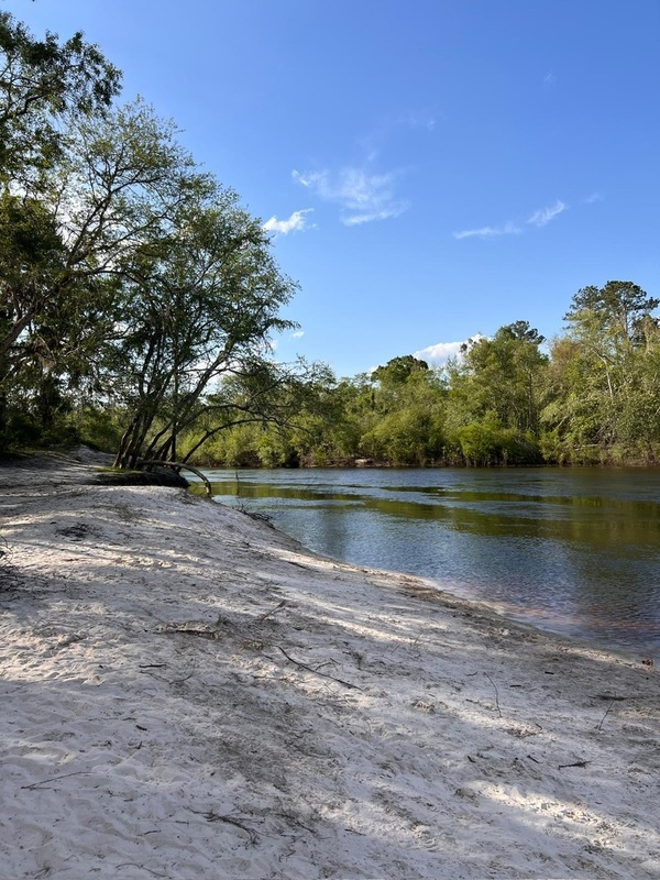 [Naylor Park Beach, Alapaha River @ US 84 2025-04-11]