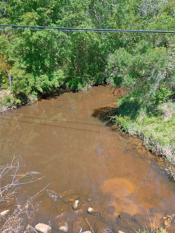 [Kell Road Creek @ Kell Road 2025-04-16, 12:02:38, 31.4008655, -83.5330124]