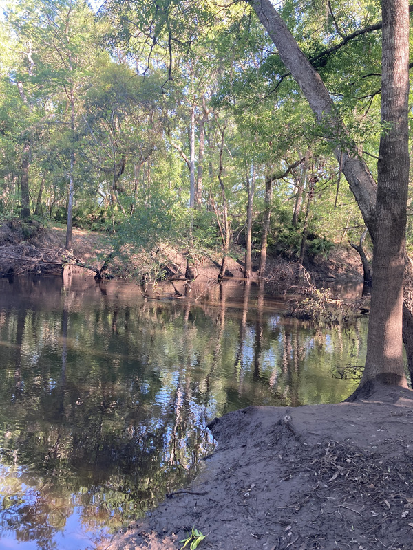 [Staten Road, Withlacoochee River @ Staten Road 2025-04-17, 2025:04:18 09:03:57, 30.9280278, -83.2933500]