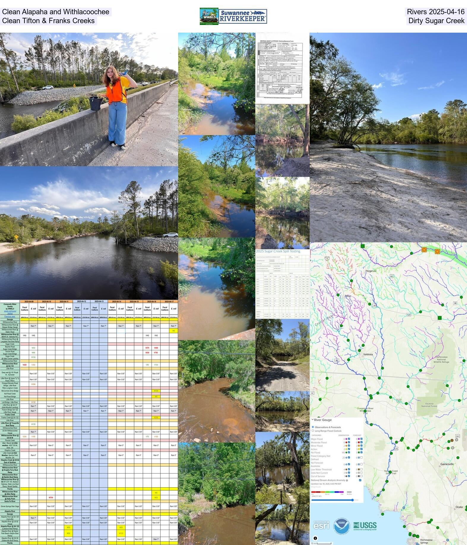 [Clean Alapaha and Withlacoochee Rivers 2025-04-16, Clean Tifton & Franks Creeks, Dirty Sugar Creek]