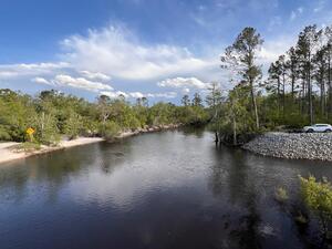 [Downstream, Lakeland Boat Ramp, Alapaha River @ GA 122 2025-04-11]