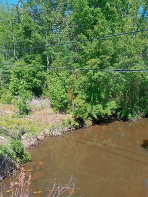[Kell Road Creek @ Kell Road other, 2025-04-16, 12:02:42, 31.4008655, -83.5330124]