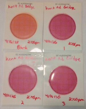 [Plates, Kell Road Creek @ Kell Road 2025-04-16]