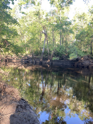 [Staten Road other, Withlacoochee River @ Staten Road 2025-04-17, 2025:04:18 09:04:05, 30.9280500, -83.2933500]