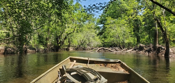 [Deadfall on the side, 12:37:21, 30.8551453, -83.3304098]