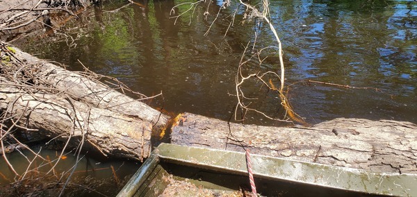 [jsq sawed here, 13:18:04, 30.8571398, -83.3266969]