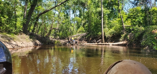[A real mess in the Alexis Deadfalls, 13:47:13, 30.8570002, -83.3268078]