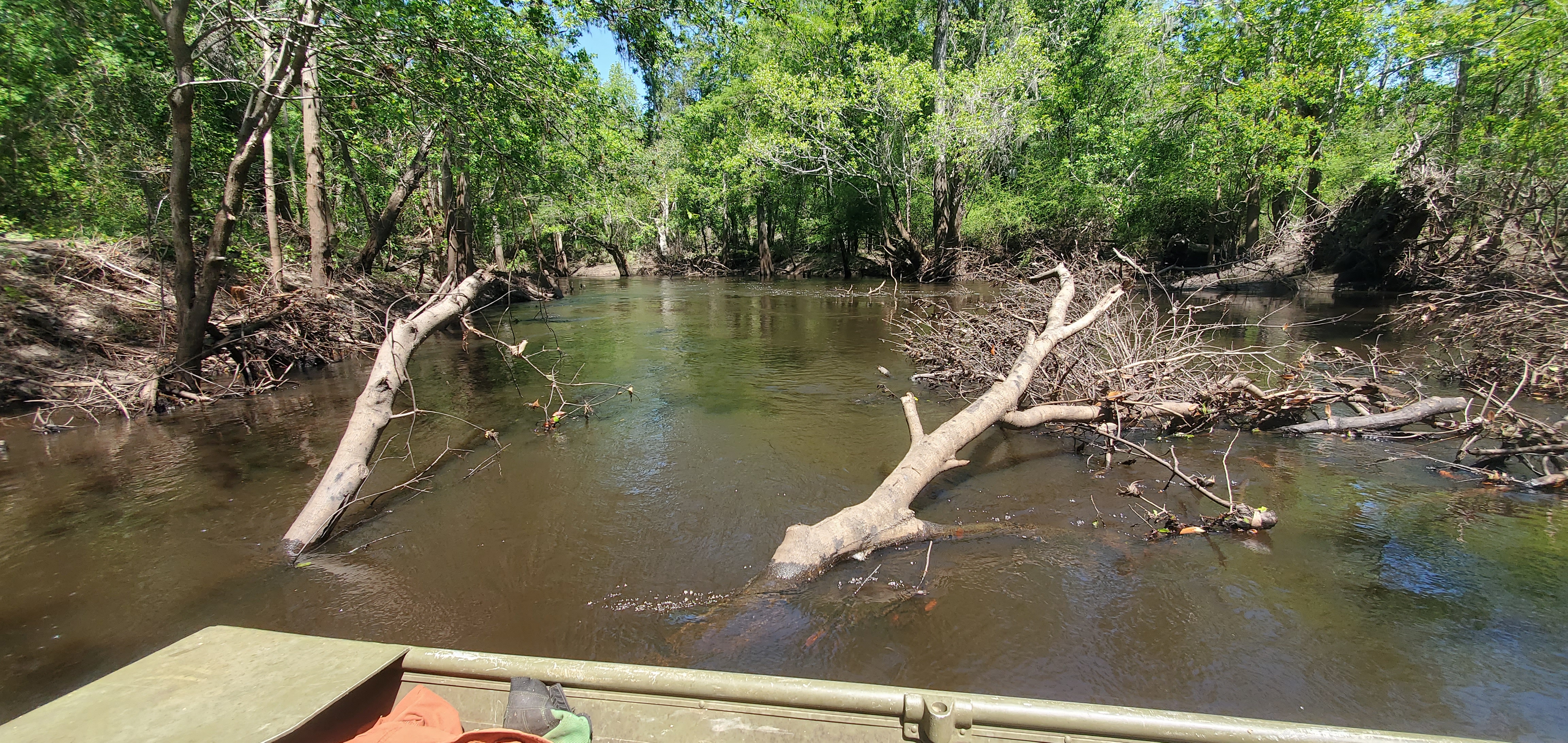 Deadfalls by the old Crowe Deadfall, 12:10:59, 30.8540079, -83.3375611