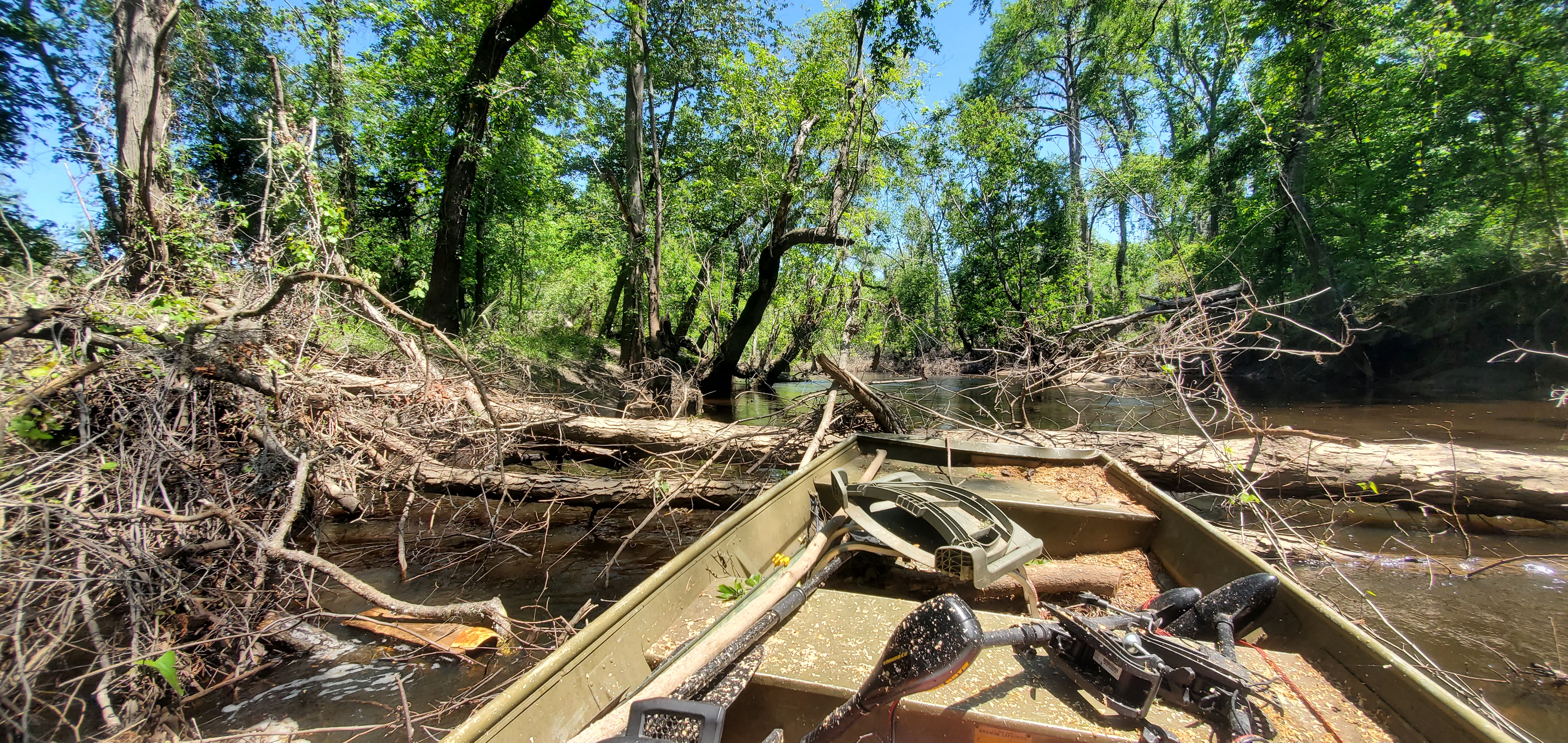 New Deadfall, part of Alexis Deadfalls, 12:40:40, 30.8573110, -83.3269205