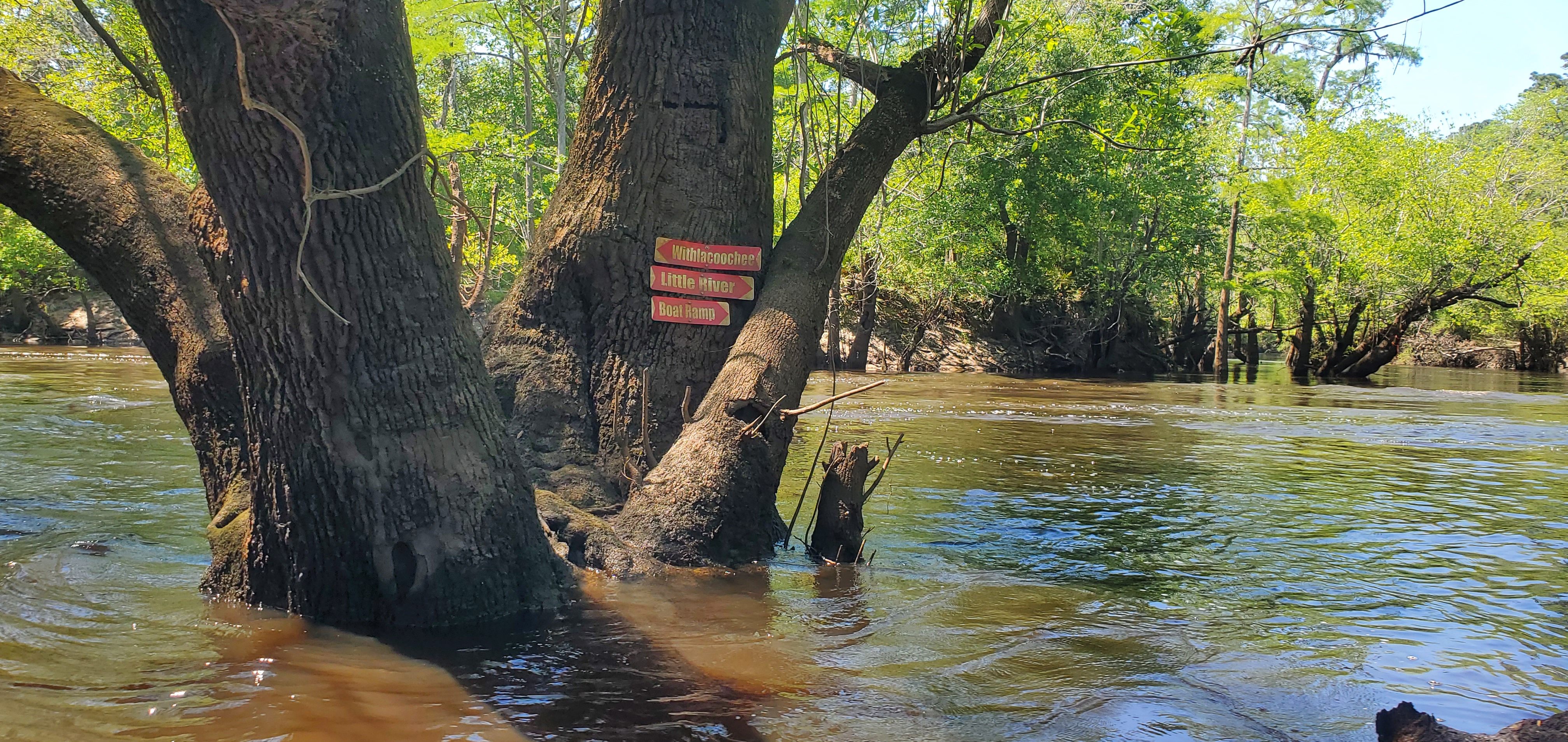 Little River Confluence signs, 15:14:56, 30.8470549, -83.3475798