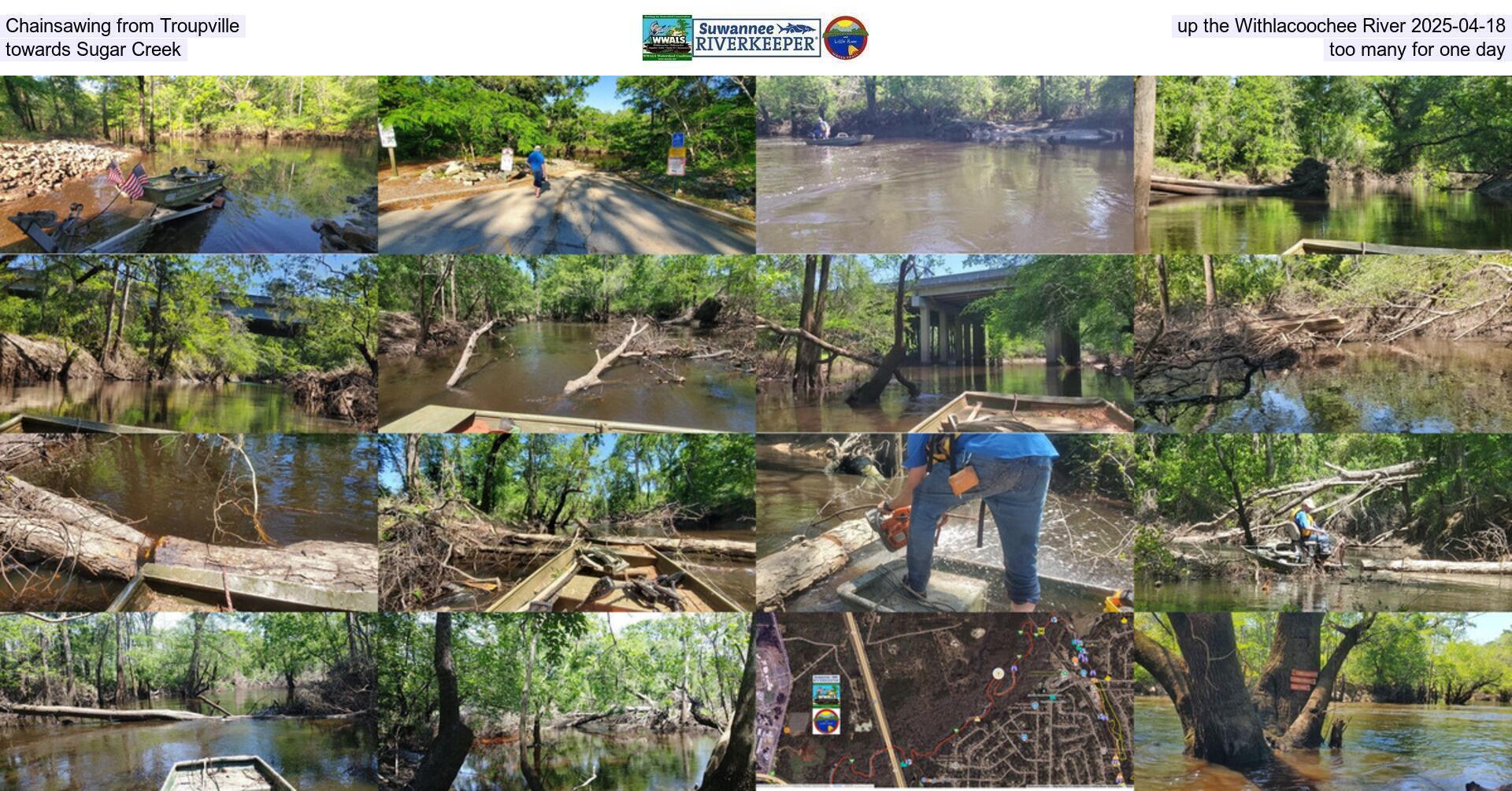 [Chainsawing from Troupville up the Withlacoochee River 2025-04-18, towards Sugar Creek, too many for one day]