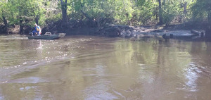 [Movie: Little River Confluence, 10:24:07, 30.8472051, -83.3477442 (64M)]