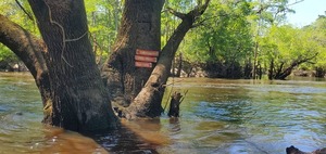 [Little River Confluence signs, 15:14:56, 30.8470549, -83.3475798]