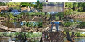 [Chainsawing from Troupville up the Withlacoochee River 2025-04-18, towards Sugar Creek, too many for one day]